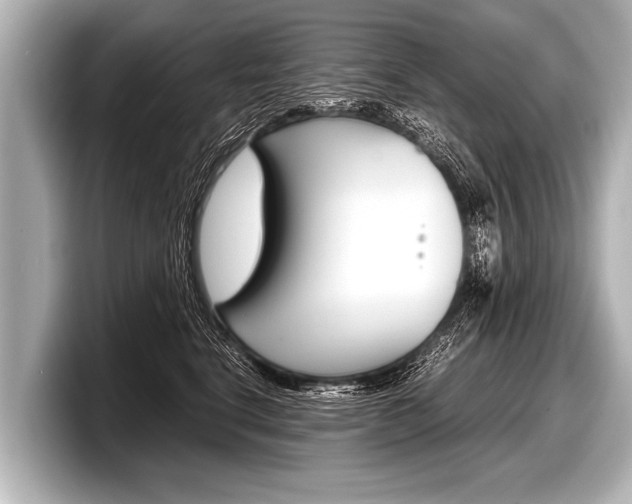 X0000098220664200804241134