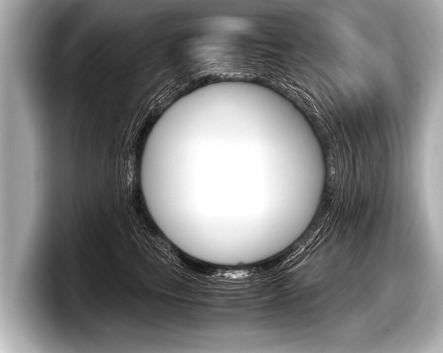 X0000098220665200804241134