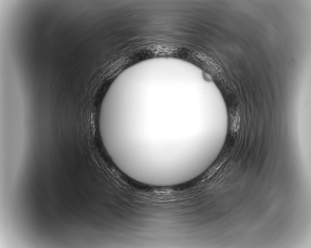 X0000098220666200804241134