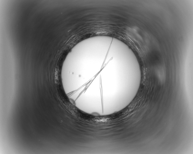 X0000098220667200804241134