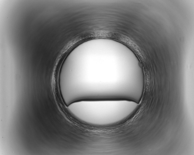 X0000098220674200804241134