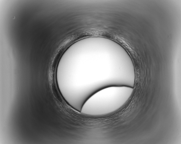 X0000098220679200804241134