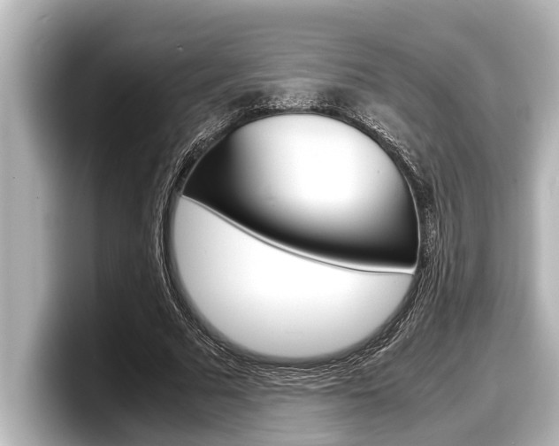 X0000098220681200804241134