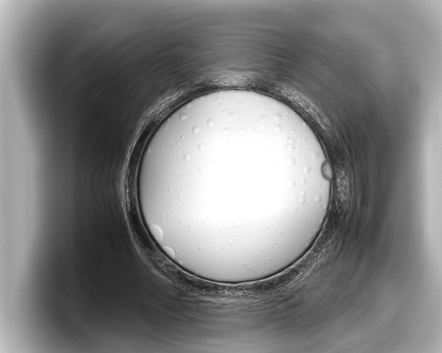 X0000098220682200804241134