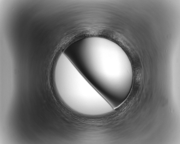 X0000098220685200804241133
