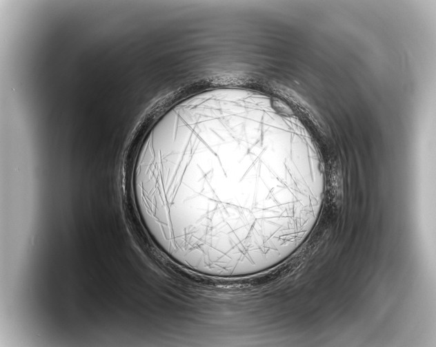 X0000098220686200804241133