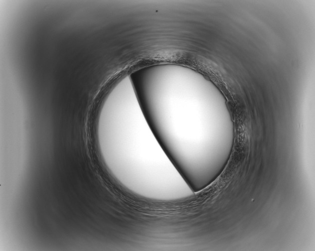 X0000098220688200804241133