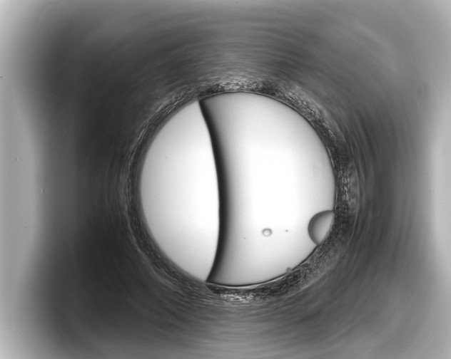 X0000098220690200804241133