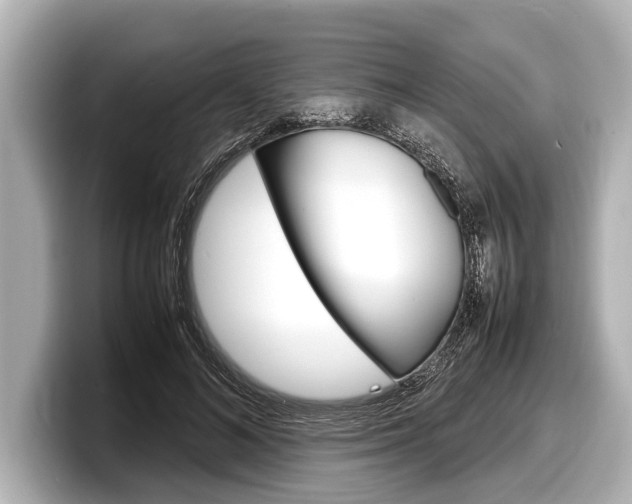 X0000098220692200804241133