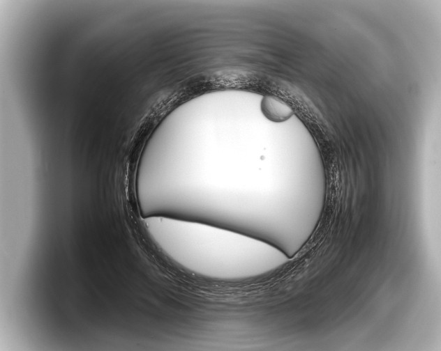 X0000098220694200804241133