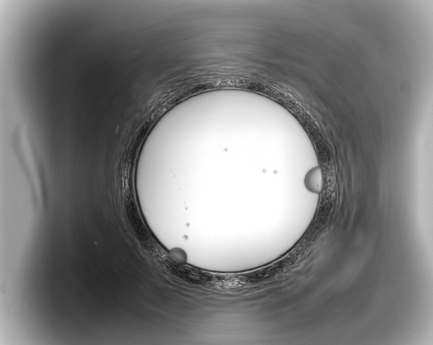 X0000098220695200804241133