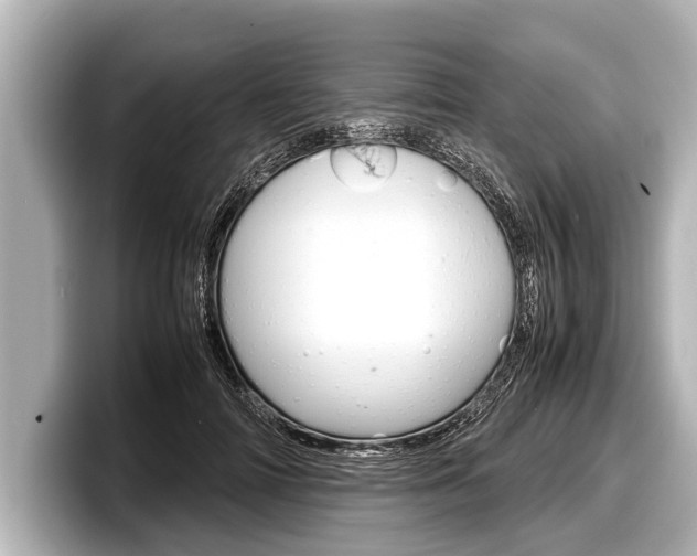 X0000098220698200804241133