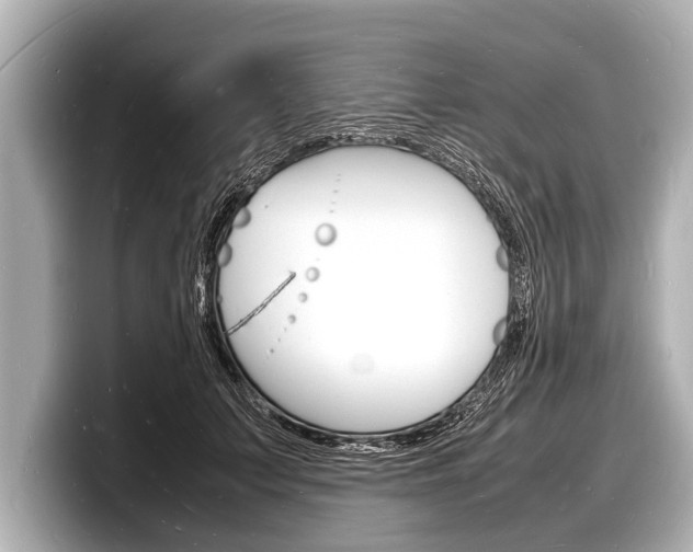 X0000098220703200804241133