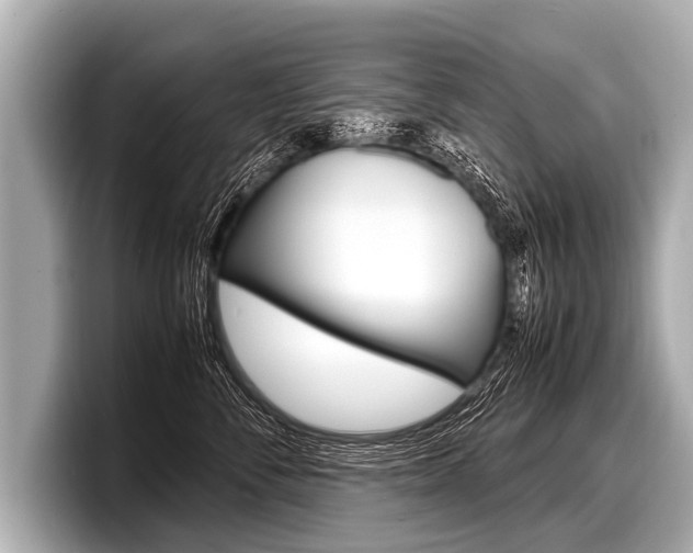 X0000098220716200804241133