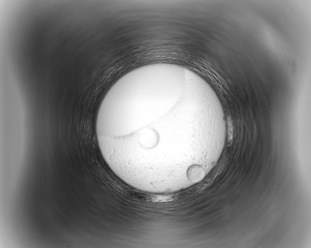 X0000098220718200804241133
