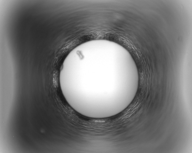 X0000098220719200804241133