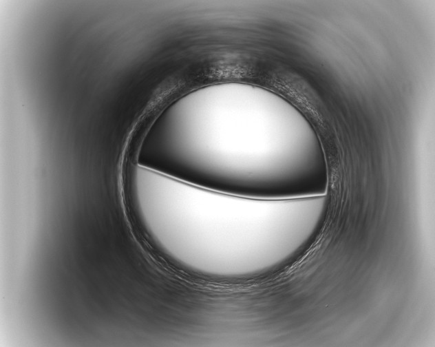 X0000098220722200804241132