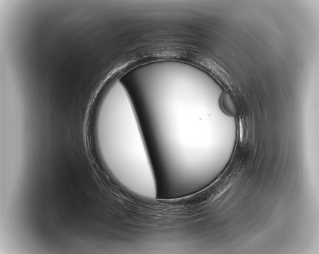 X0000098220723200804241132