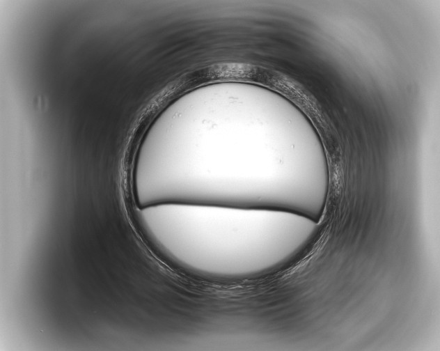 X0000098220725200804241132