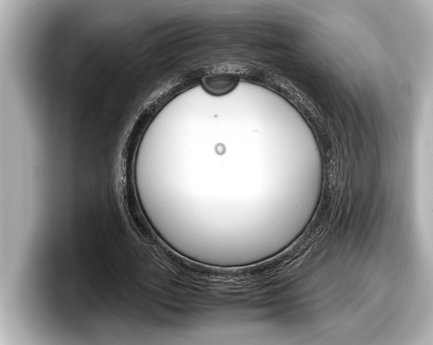 X0000098220727200804241132