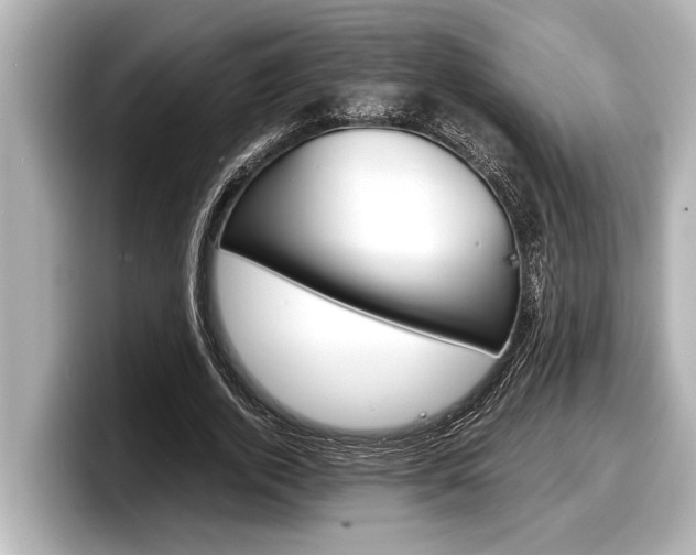 X0000098220728200804241132