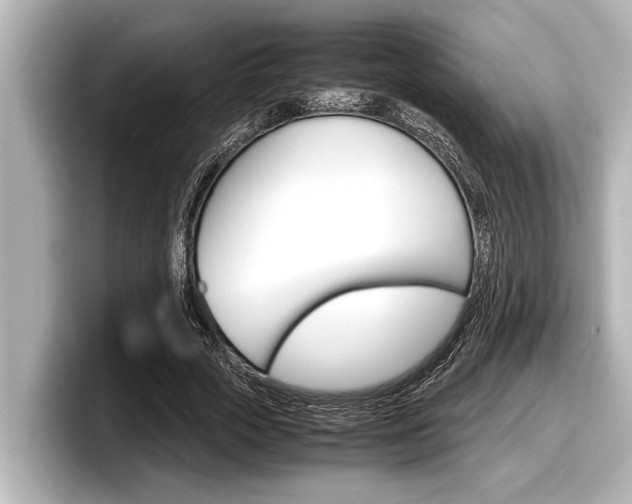 X0000098220729200804241132