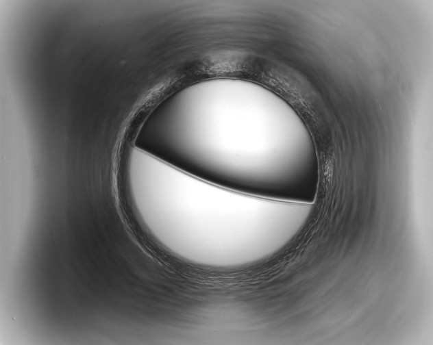 X0000098220732200804241133