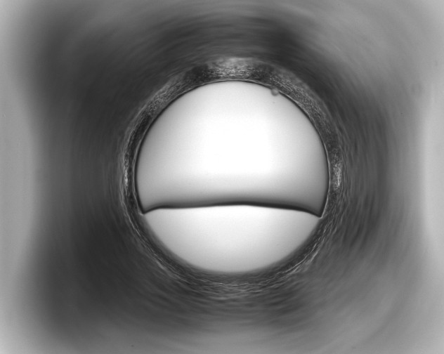 X0000098220733200804241133