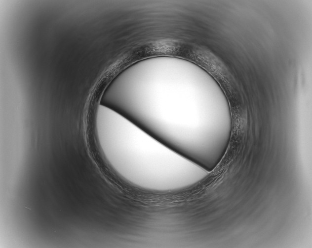 X0000098220736200804241133