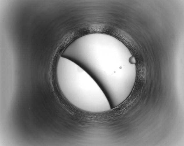 X0000098220738200804241133