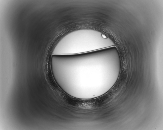 X0000098220739200804241133