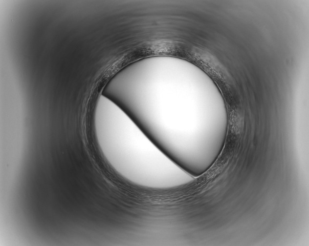X0000098220740200804241133