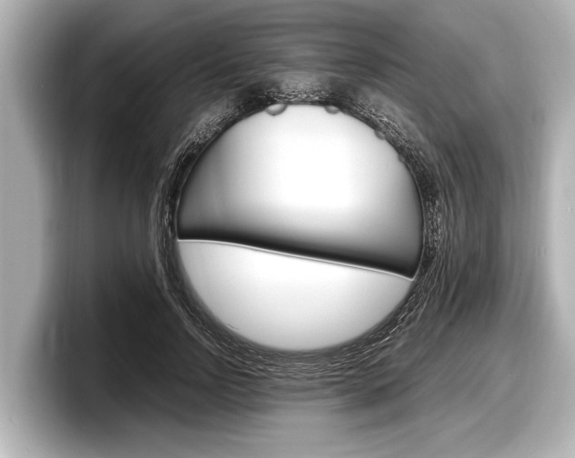 X0000098220742200804241133