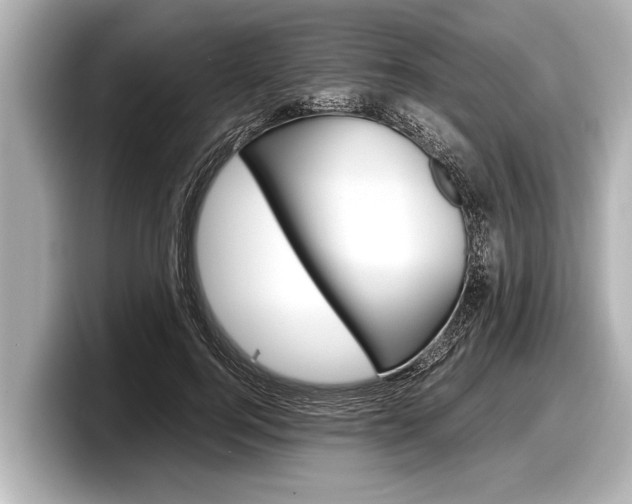 X0000098220744200804241133
