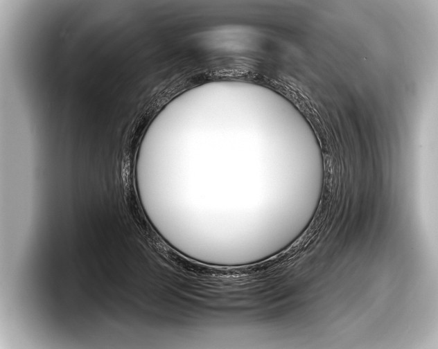 X0000098220745200804241133