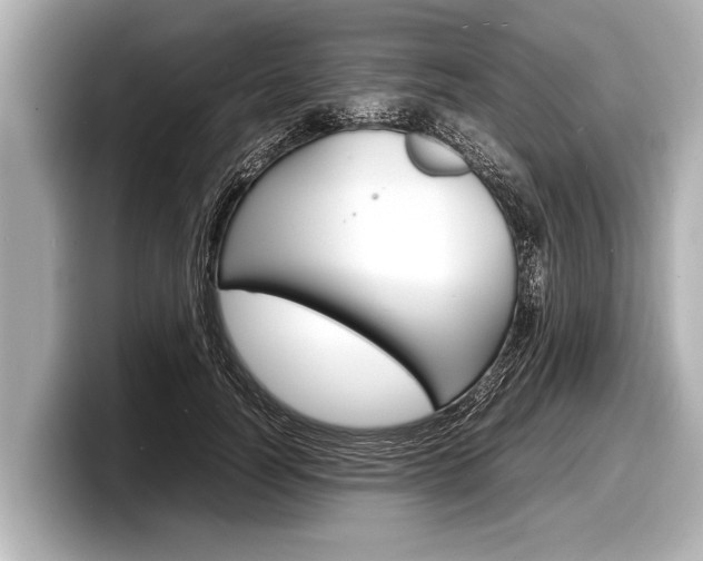 X0000098220746200804241133