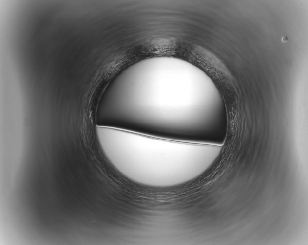 X0000098220748200804241133