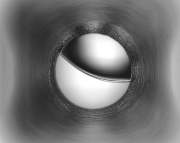 X0000098220750200804241133
