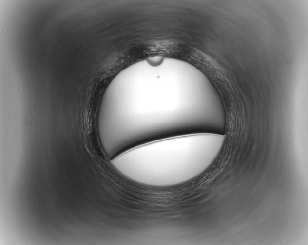 X0000098220751200804241133