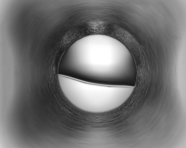 X0000098220752200804241133