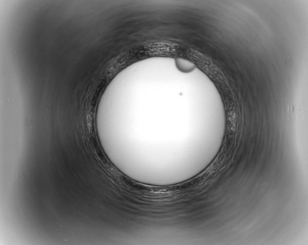 X0000098220753200804241133