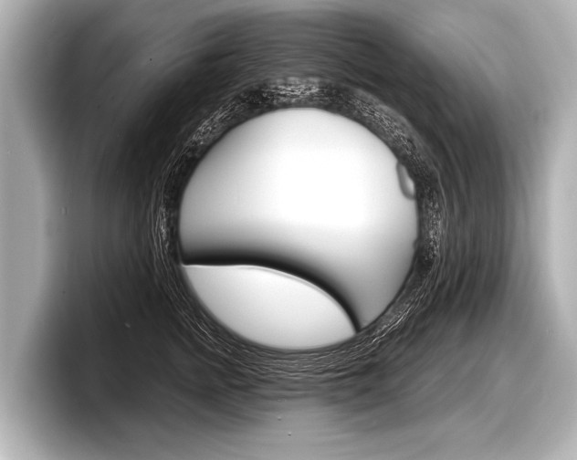 X0000098220758200804241133