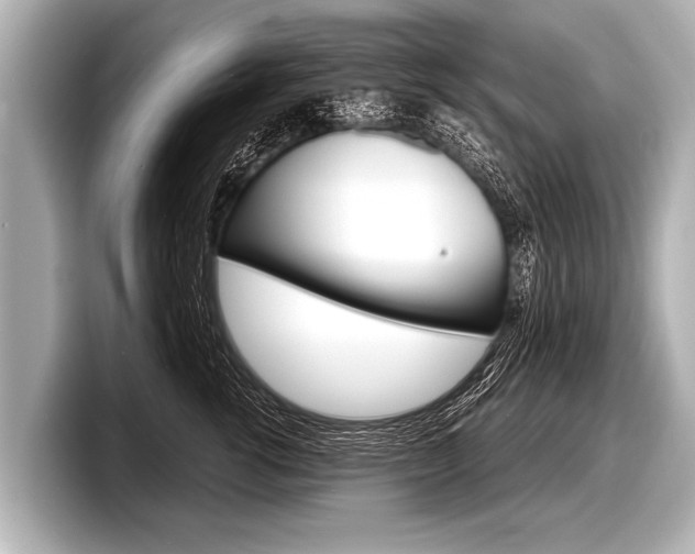 X0000098220762200804241133