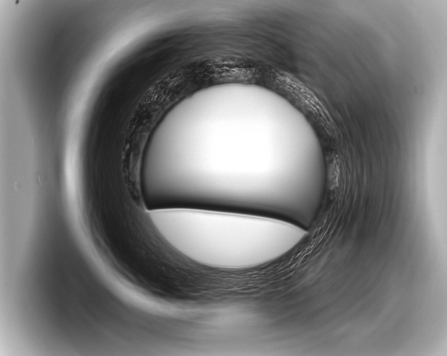 X0000098220764200804241133