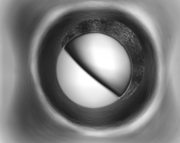 X0000098220766200804241133