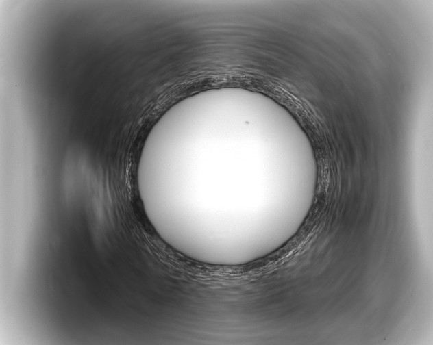 X0000098220770200804241132