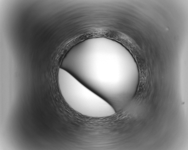 X0000098220773200804241132