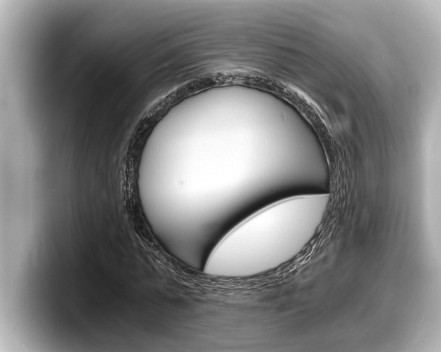 X0000098220775200804241132