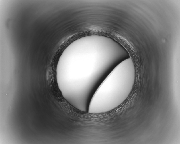 X0000098220776200804241132