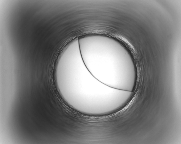 X0000098220777200804241132